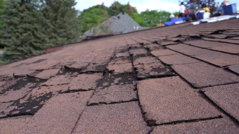 Best Cold Roofs  in Pitola, CA