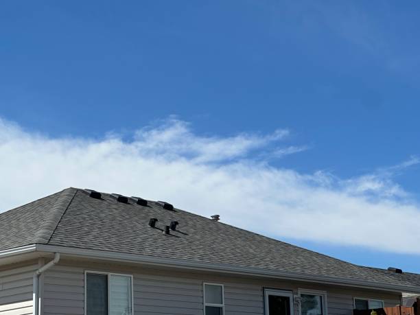 Best 4 Ply Roofing  in Pitola, CA