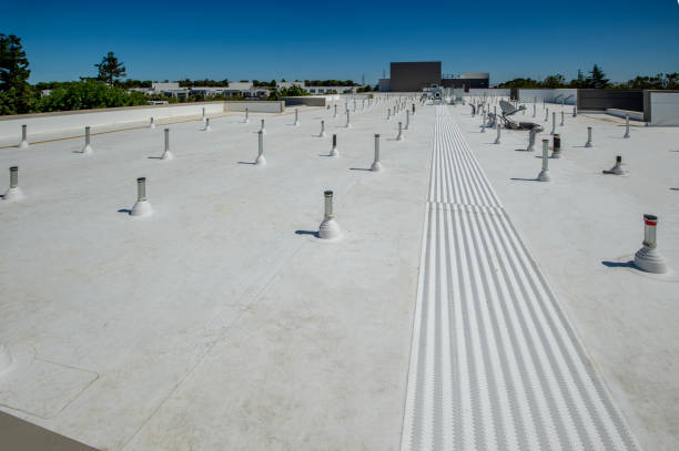 Best Roof Leak Repair  in Pitola, CA